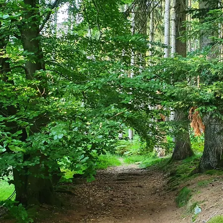 Сasa de vacaciones Odenwald-lodge Mit Infrarotsauna Und E-ladestation Im Naturpark Odenwald 