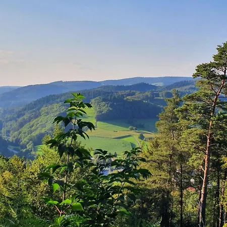 Сasa de vacaciones Odenwald-lodge Mit Infrarotsauna Und E-ladestation Im Naturpark Odenwald 
