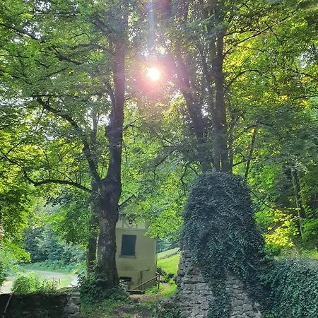 Odenwald-lodge Mit Infrarotsauna Und E-ladestation Im Naturpark Odenwald 