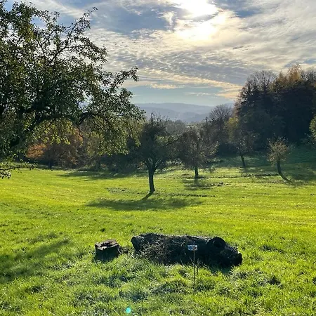 Odenwald-lodge Mit Infrarotsauna Und E-ladestation Im Naturpark Odenwald 