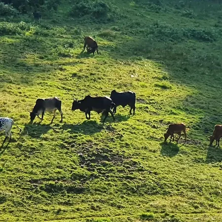 Odenwald-lodge Mit Infrarotsauna Und E-ladestation Im Naturpark Odenwald 