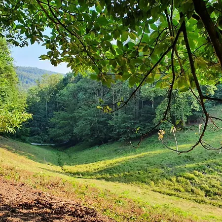 Odenwald-lodge Mit Infrarotsauna Und E-ladestation Im Naturpark Odenwald 