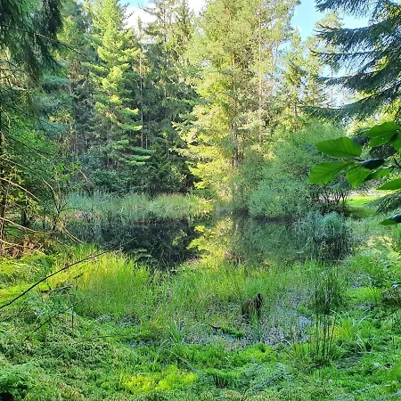 Сasa de vacaciones Odenwald-lodge Mit Infrarotsauna Und E-ladestation Im Naturpark Odenwald 