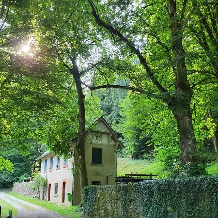 Odenwald-lodge Mit Infrarotsauna Und E-ladestation Im Naturpark Odenwald 