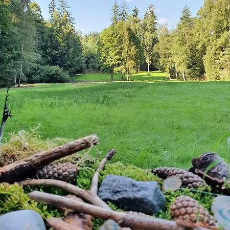 Odenwald-lodge Mit Infrarotsauna Und E-ladestation Im Naturpark Odenwald 