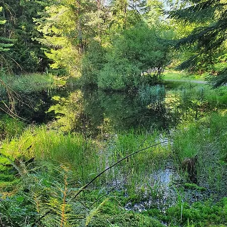 Odenwald-lodge Mit Infrarotsauna Und E-ladestation Im Naturpark Odenwald 