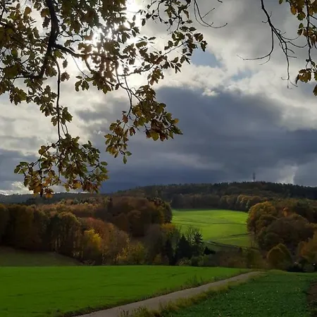 Сasa de vacaciones Odenwald-lodge Mit Infrarotsauna Und E-ladestation Im Naturpark Odenwald 