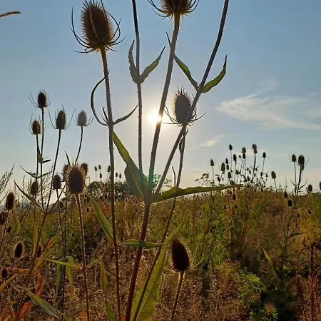 Odenwald-lodge Mit Infrarotsauna Und E-ladestation Im Naturpark Odenwald 