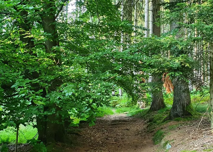 Nyaraló Odenwald-lodge Mit Infrarotsauna Und E-ladestation Im Naturpark Odenwald 