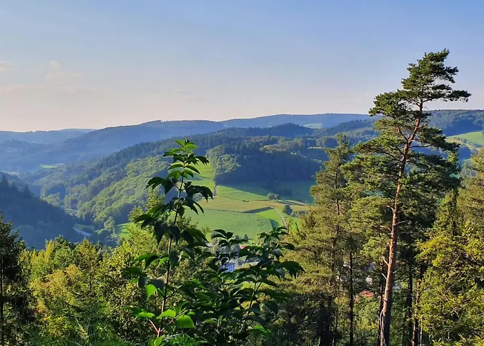 Nyaraló Odenwald-lodge Mit Infrarotsauna Und E-ladestation Im Naturpark Odenwald 