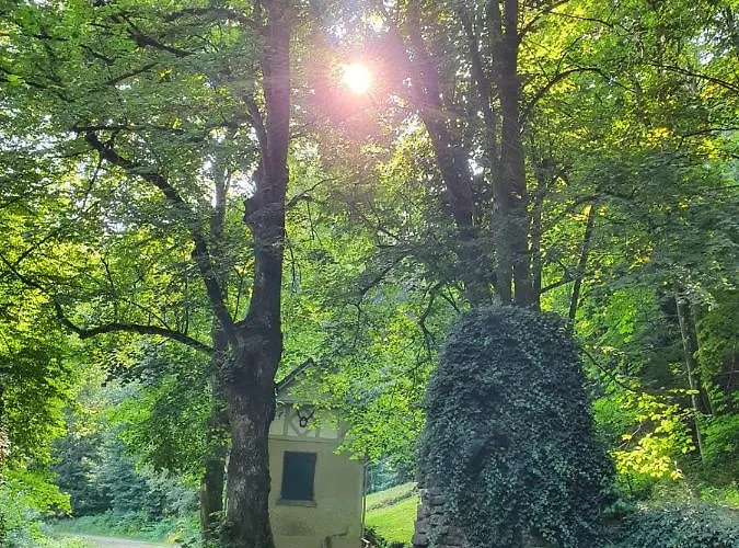 Odenwald-lodge Mit Infrarotsauna Und E-ladestation Im Naturpark Odenwald 