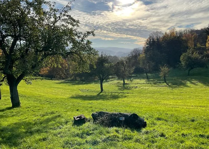 Odenwald-lodge Mit Infrarotsauna Und E-ladestation Im Naturpark Odenwald 