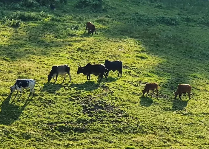 Odenwald-lodge Mit Infrarotsauna Und E-ladestation Im Naturpark Odenwald 