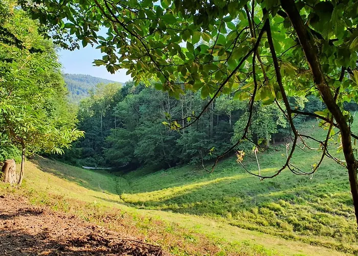 Odenwald-lodge Mit Infrarotsauna Und E-ladestation Im Naturpark Odenwald 