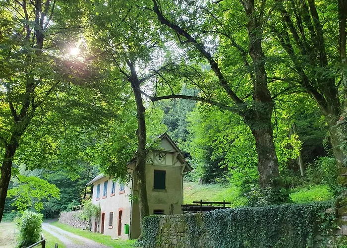 Odenwald-lodge Mit Infrarotsauna Und E-ladestation Im Naturpark Odenwald 