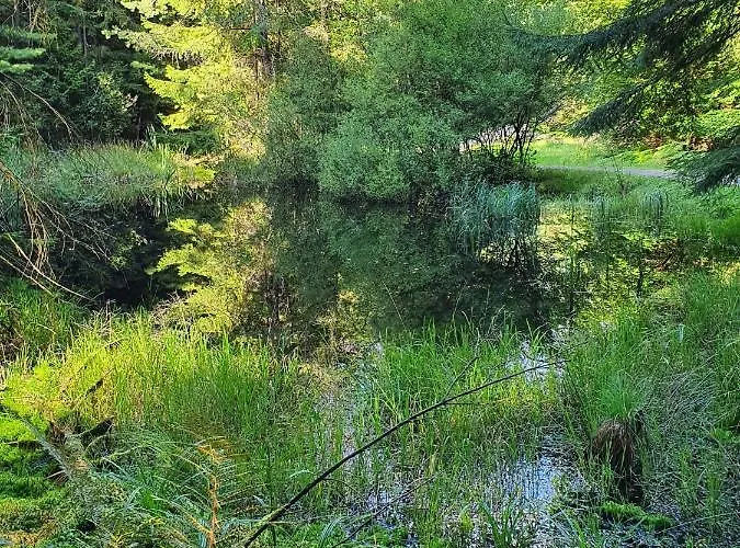 Odenwald-lodge Mit Infrarotsauna Und E-ladestation Im Naturpark Odenwald 