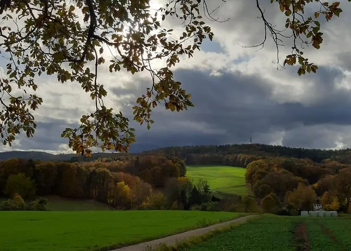 Nyaraló Odenwald-lodge Mit Infrarotsauna Und E-ladestation Im Naturpark Odenwald 