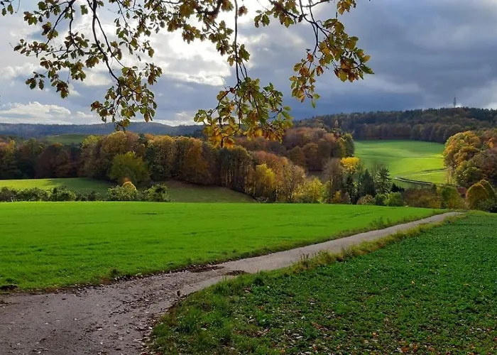 Odenwald-lodge Mit Infrarotsauna Und E-ladestation Im Naturpark Odenwald 