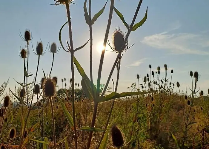 Odenwald-lodge Mit Infrarotsauna Und E-ladestation Im Naturpark Odenwald 